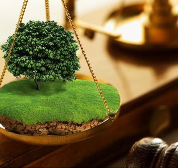 Землеустроительная экспертиза в Челябинске